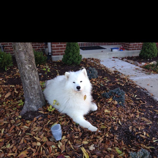 megashley23's profile picture. 