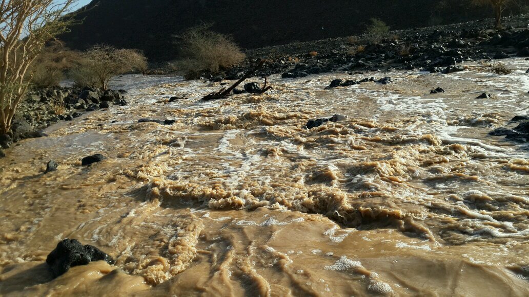 abo_yasser19's profile picture. 