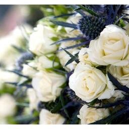 Ambience is an independent retailer located in Heswall Hills on the Wirral which specialises in exquisite floral designs, cards and gifts.