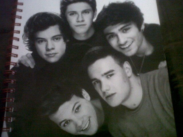 The story of my life @StaystrongLiamj Bigsis @Real_liam_Payne batman @Niallofficial Cookie monster @Harry_styles Curly fry @Zayn_malik mirror @Louis_Tomlinson:)