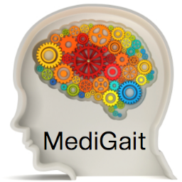 GaitAid: Virtual reality device to help overcome freezing of gait, festination, balance loss in Parkinson's, MS, stroke, senile gait and cerebral palsy
