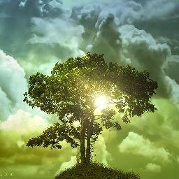 When the world says,Give up Hope whispers, Try again.