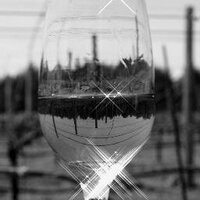 A Vintners Tale (@a_vintners_tale) 's Twitter Profile