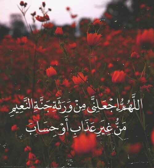 ‏تابعوها عالانستقرام ♥.♥ ritamohammed                                            @rita_mohammed