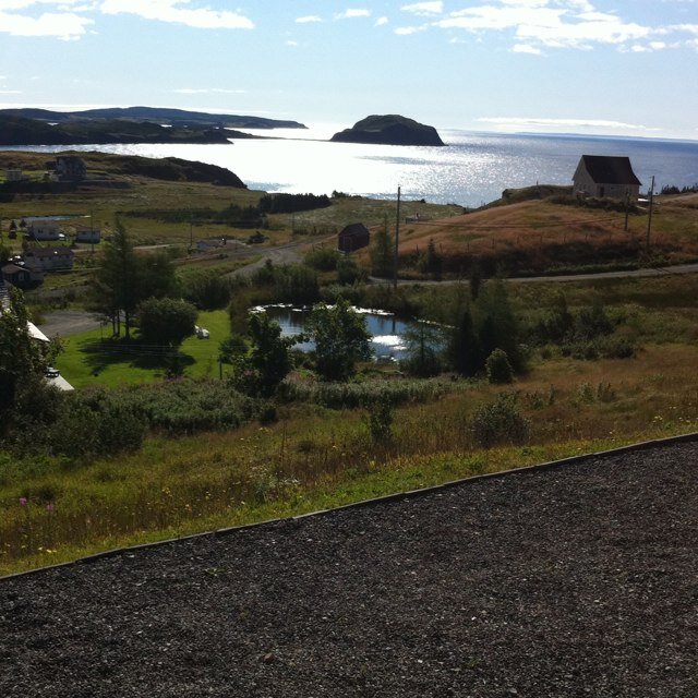 GSri2's profile picture. CMA Impact Board Chair