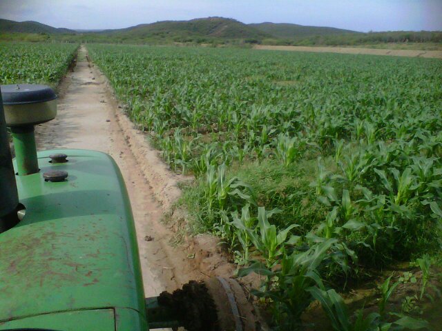 jfbfrancisco92's profile picture. 