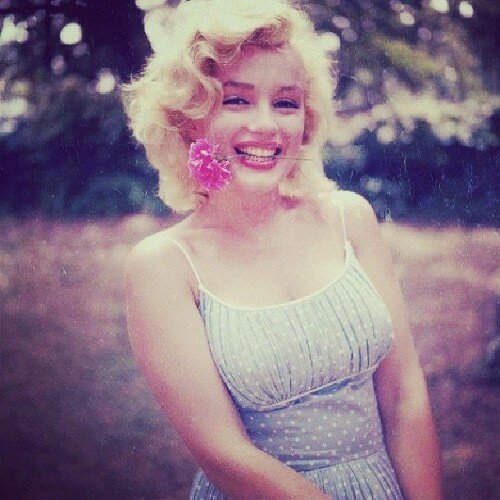 thehelleaven's profile picture. 