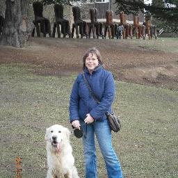 Busy teacher, mum to 3 grown up sons and Alfie the dog!