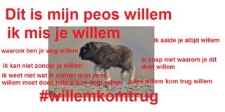 Hallo, mijn peos willem is weg. Ik ben hum kwijt. Zeg het als je peos willem ziet!!!! #willemkomtrug