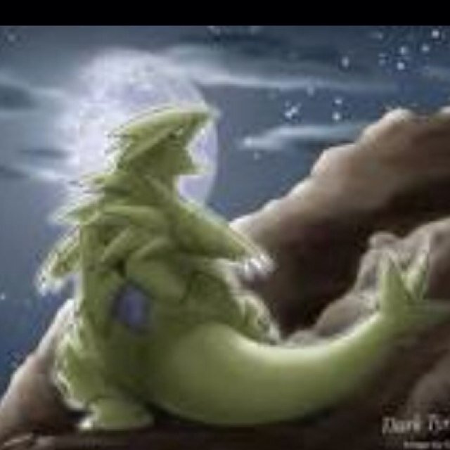 Im a Tyranitar! #Single #RP I will obey aslong as you have 6 Unova Badges. (Level 74 Moveset- Stone Edge Dark Pulse Giga Impact Mega Punch) Male @Black_Trainer6