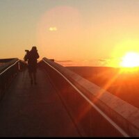 Matt McQueeney (@mcshredden) 's Twitter Profile