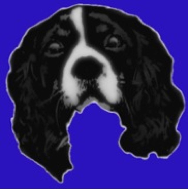 Bringing you gaming reviews and news. Independent unbiased opinions. Business/press enquiries : stealthdoggames@gmail.com @skinnah