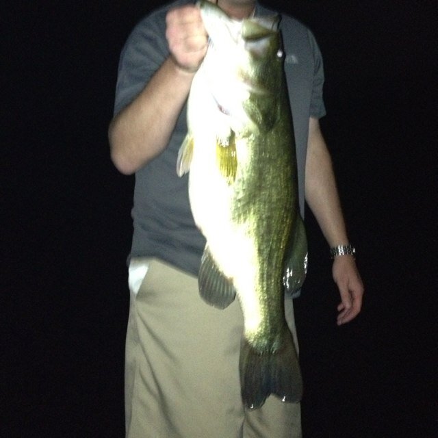 Father of Three.  Angler.  Country Lawyer.