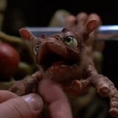 I am the Navigator! Flight of the Navigator Fan. #flightofthenavigator  Epic 80's Movies