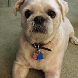 thomaseallan's profile picture. 