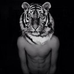 DOPE.