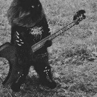 Irishheadbanger666 (@irishheadbanger) 's Twitter Profile