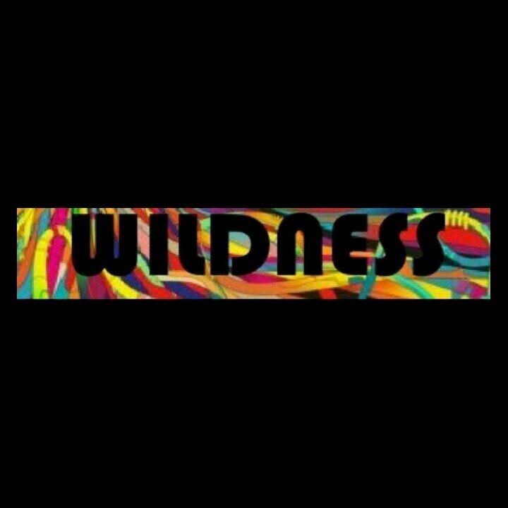 Wildnessparty. 23de noviembre, Quinta dorada. LO MEJOR DE LO MEJOR!