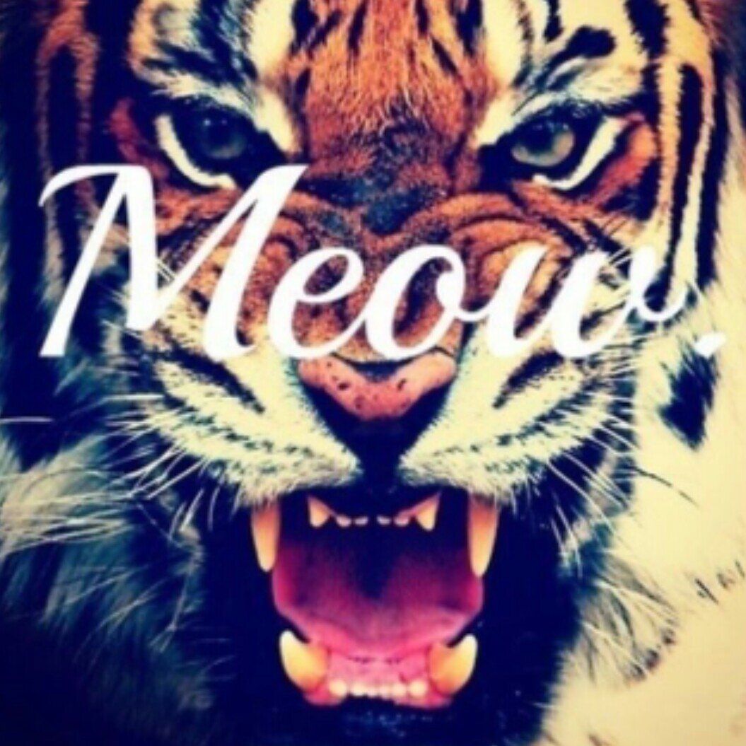 maryamh_'s profile picture. ‏‏اللهم اكفني شر خلقك