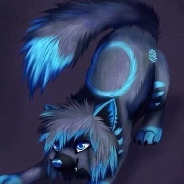 Im a fox! Can you help me find my family*Whimpers*