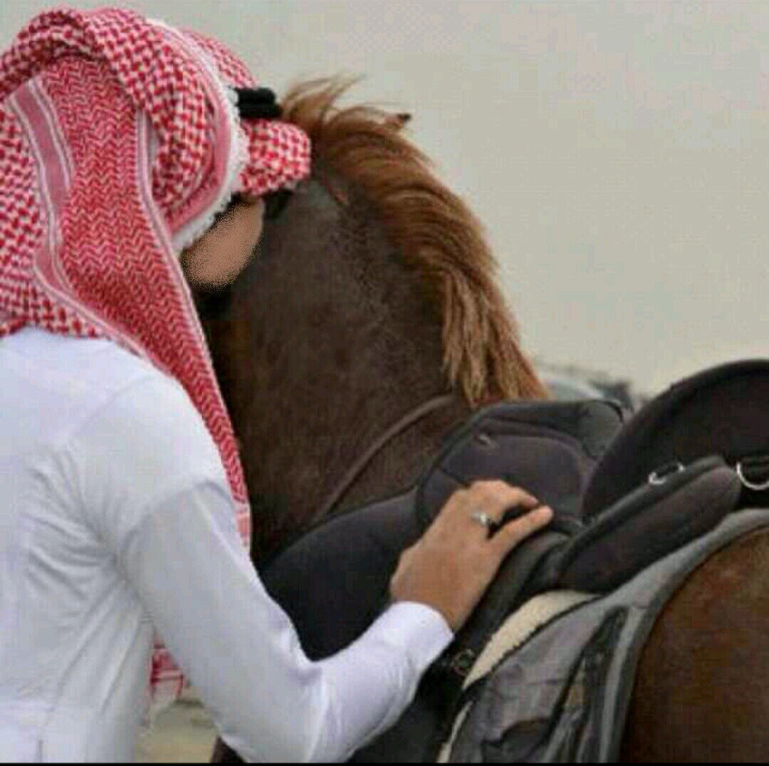 سأظل صقر يكرمني كناني