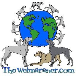 http://t.co/USrs8BhY7C website was created for Weimaraner Loving people all over the world :)