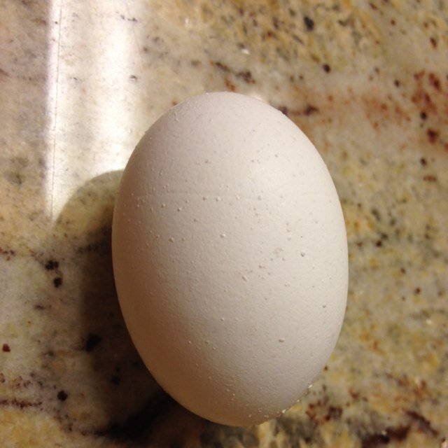 kimmatthewslee's profile picture. 