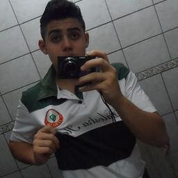 Futebol , Familia ,Pizza , Palmeiras , e tudo oque me fazer o bem