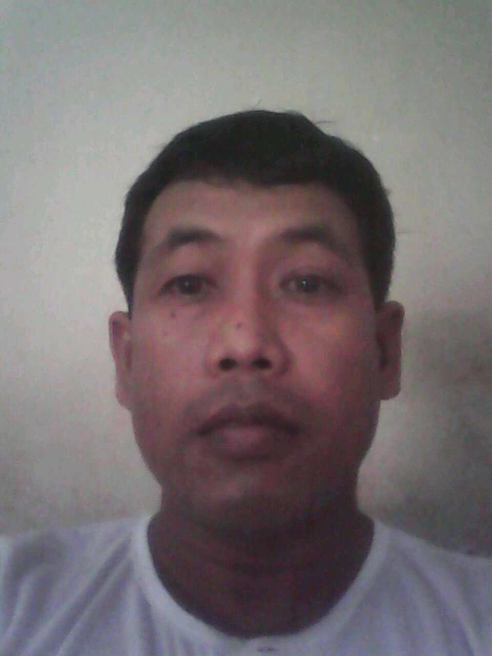 panjat kelapa