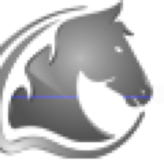 Soon to be #1 largest online marketplace for tack, supplies and western apparel. Follow us on twitter and like us facebook