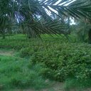 mohamed ali (@05mooody) Twitter