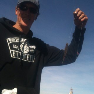 ScBuilding's profile picture. 