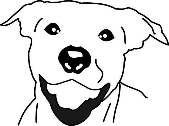 Passion for Pit Bulls. The misunderstood breed. http://t.co/RpycdrhcYa