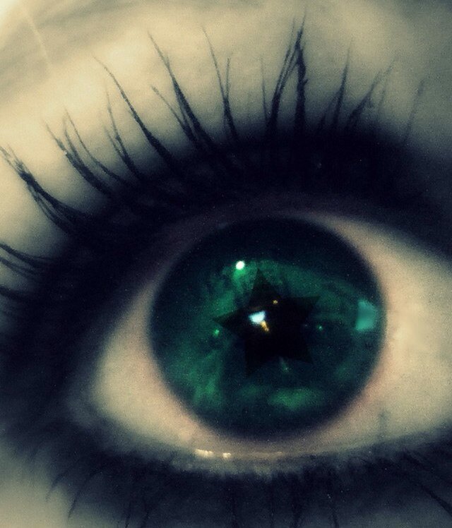 NewcastleGerald's profile picture. 