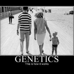 AnitaPassword's profile picture. Lover of God, country and family.
Part of a vast conspiracy to take over the world and leave you alone.
Charter member of the Grover Cleveland fan club.