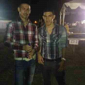 Promotor De Revolver Cannabis