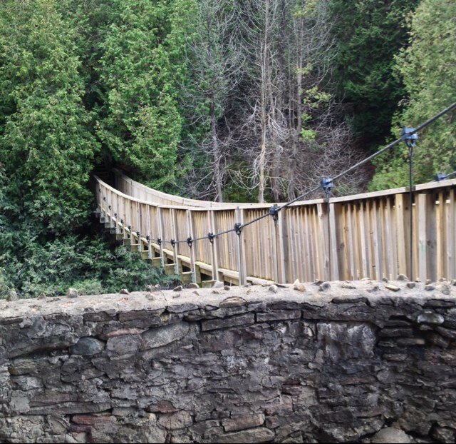 tacticalsaber's profile picture. description loading...