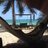 susanbarr78's profile image