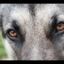 Toni Hebert - @tlyn7 - Twitter