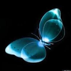 WallpaperJogja's profile picture. Warna Dinding Rumah & Jasa Pasang Sehat, Garansi. Desain Ruang. Hp. 082134975048 pin 30BB2B08 pakarWallcovering