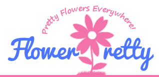 Thanks for following FlowerPretty!