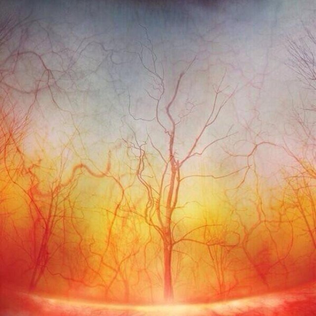 DarkHearths's profile picture. This is the sound of a man waiting to die.