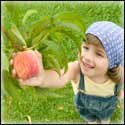 Helping inform #preppers to select the best #plants to plant in a #survivalgarden before a collapse. #prepperplants