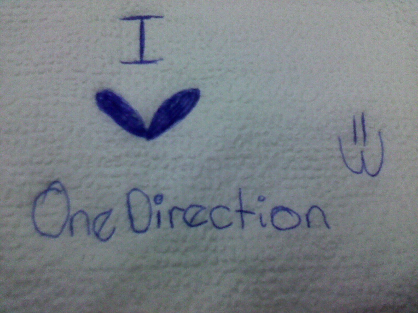 Belieber & Directioner