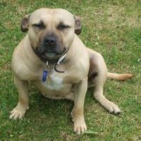 Wayne Libonati (@libbo2003) 's Twitter Profile Photo Wayne Libonati (@libbo2003) 's Twitter Profile Photo