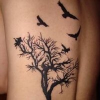 jason wilson (@jasonhan1973) 's Twitter Profile