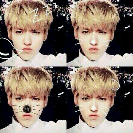 อยากฟอลกลับก็แอคนี้นะครับ @KRISLHORBOT_ แอคนี้สร้างขึ้นมาเพื่อใช้ฟอลฟรีไม่คิดเงินนะครับ ช่วยสนับสนุนและติดตามผลงานของเอ็กโซทั้ง 12 คนตลอดไปนะครับ ♡