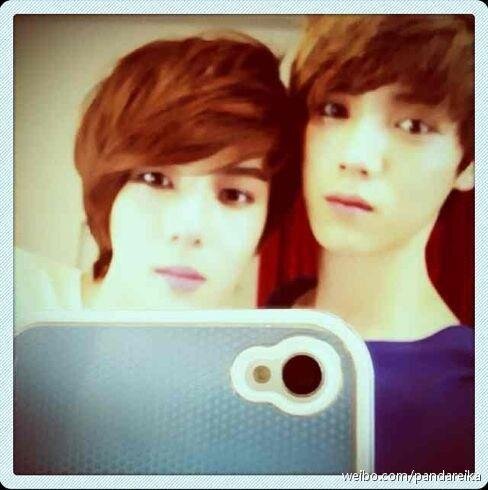 Writer, Bookworm, Princess, Otaku, Miss Friendship, ExoStans
