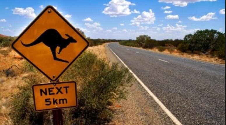 See Australia, meet new friends, party hard & have fun see our website http://t.co/034uQLUiGD call our friendly staff + 61 7 4037 2700