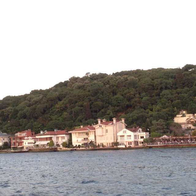 OmD33ma's profile picture. 